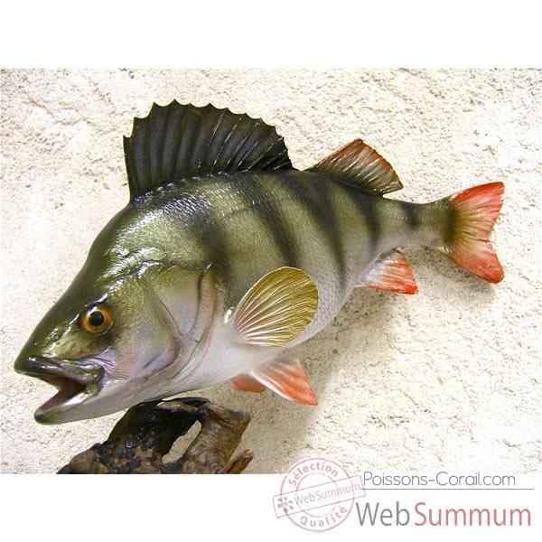 Trophe poisson d\'eau douce Cap Vert Perche -TRDF08